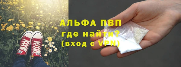 сатива Бугульма