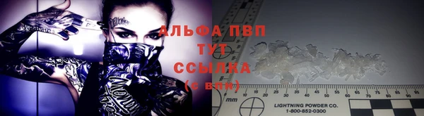 сатива Бугульма