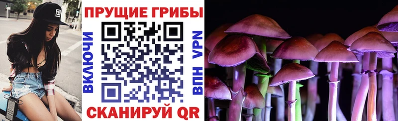 Галлюциногенные грибы MAGIC MUSHROOMS  Дмитриев 